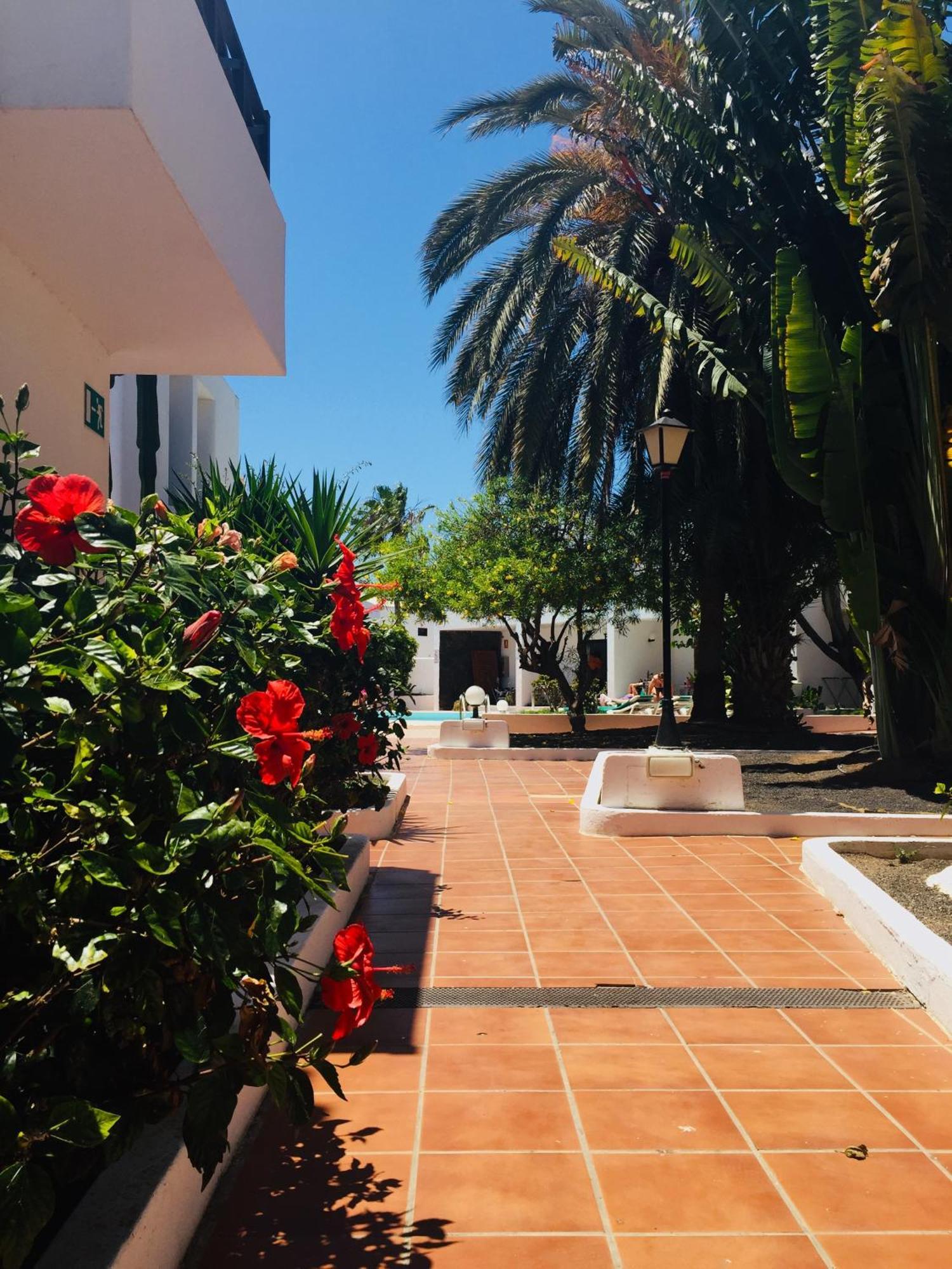 Apartamentos Maribel Puerto del Carmen  Buitenkant foto